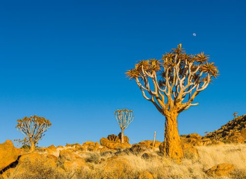 chris-stenger-cckhiRtKAgA-unsplash chris-stenger-cckhiRtKAgA-unsplash